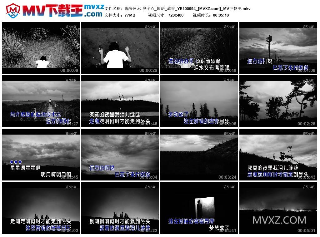 海来阿木-浪子心_国语_流行_YE100994